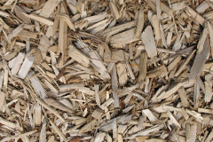 biomass boilers Martinscroft